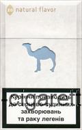 Camel Natural Flavor 4